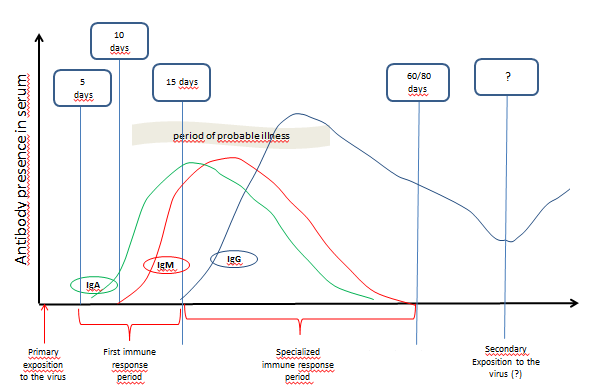 Nuovo Test Integrato Quantitativo Per Covid 19 Mediante Ricerca Anticorpi Iga Igg Igm Pcr Ultrasensibile Altamedica Roma